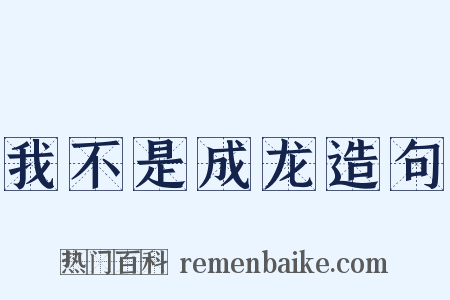 我不是成龙造句是什么意思的图片